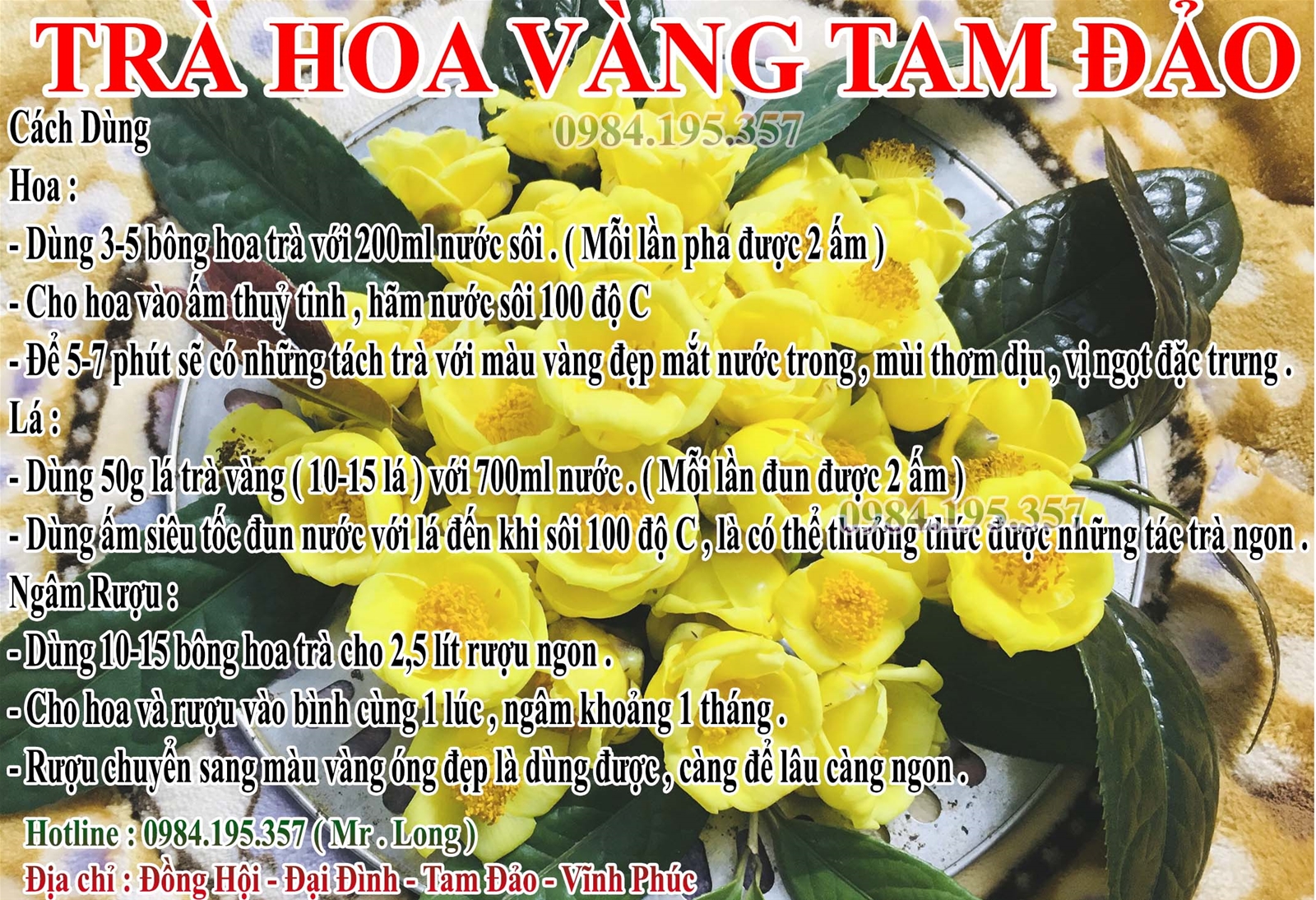 Cách dùng trà hoa vàng Tam Đảo