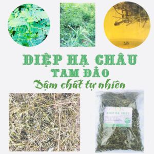 Diệp hạ châu Tam Đảo 500g