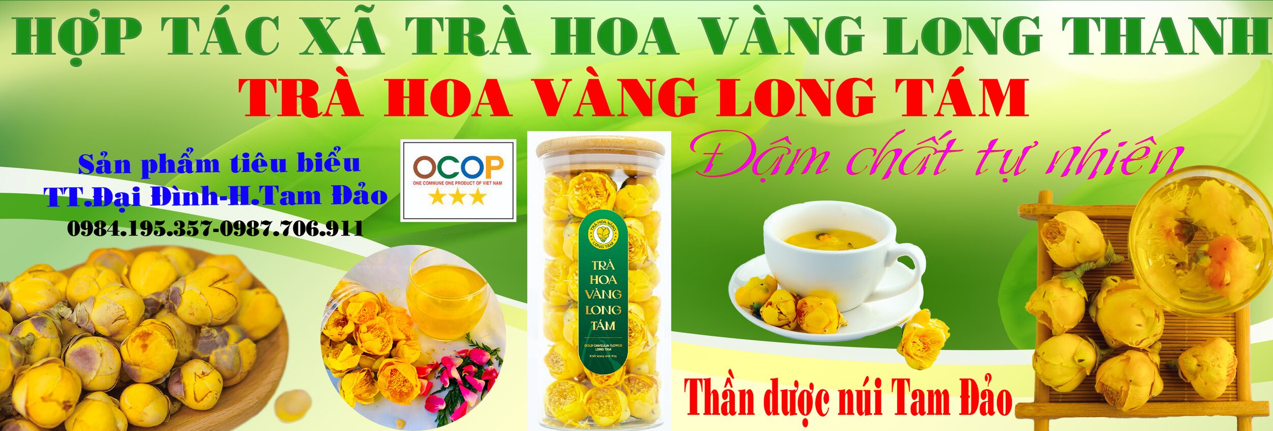 Read more about the article Trà hoa vàng Long Tám được đánh giá Ocop 3 sao