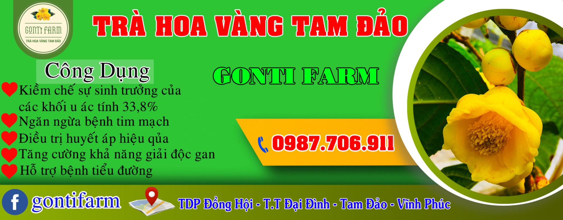 Công dụng trà hoa vàng Tam Đảo